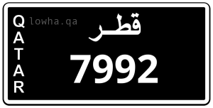 لوحة 7992