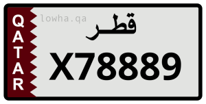لوحة X78889