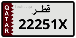 لوحة 22251X