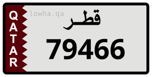 لوحة 79466
