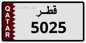 لوحة 5025