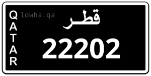 لوحة 22202