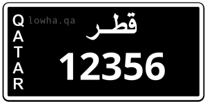 لوحة 12356