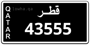 لوحة 43555