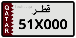 لوحة 51X000