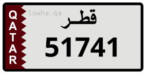 لوحة 51741
