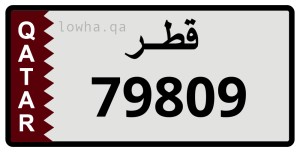 لوحة 79809