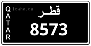 لوحة 8573
