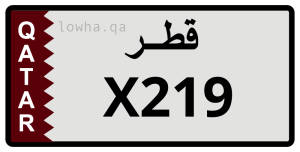لوحة X219