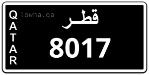 لوحة 8017