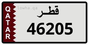 لوحة 46205