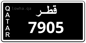 لوحة 7905