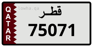 لوحة 75071