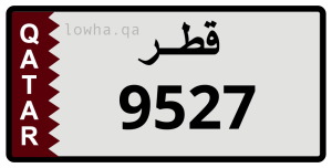 لوحة 9527