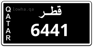 لوحة 6441